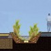 Des plantes dépolluantes